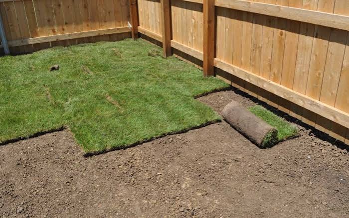 Fresh sod installation