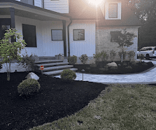 Beautiful backyard landscaping